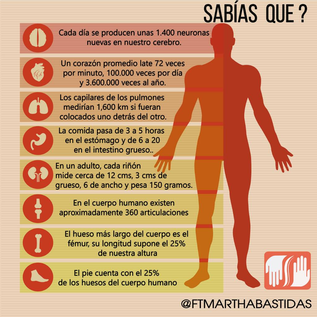MarthaBastidasM's tweet photo. Una maquina perfecta. https://t.co/MTV8MydnUS