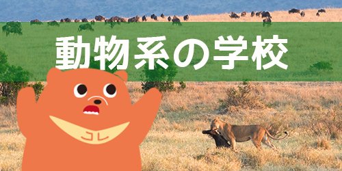 動物の仕事 Twitter Search Twitter