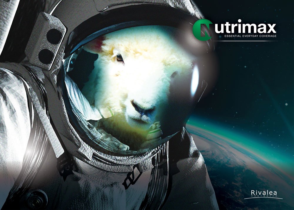 One giant step for lambkind...
#ogacreativeagency #graphicdesign