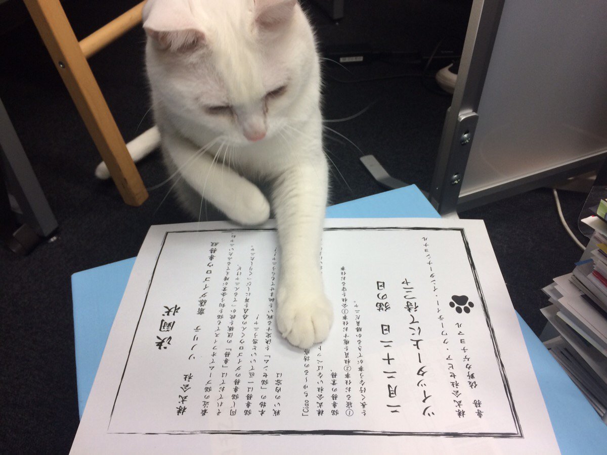 猫の日 に 猫専務対決 勃発 真の猫専務はどちらか