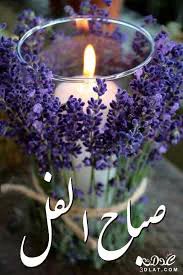 💗ملوكة البصراوية💗 (@pl156096) on Twitter photo 