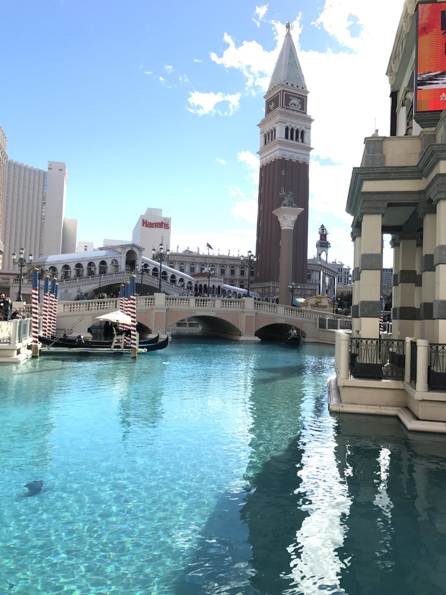 heyyeddy's tweet photo. See you Vegas! Until next time. https://t.co/CjmBLZyJgE