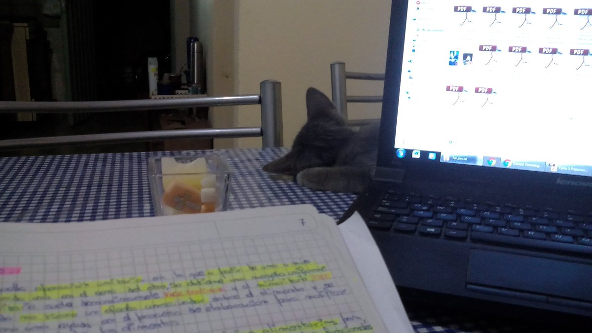MUelizabeth's tweet photo. Algunos estudiamos y otros...  💤 https://t.co/wrOxmJiscU