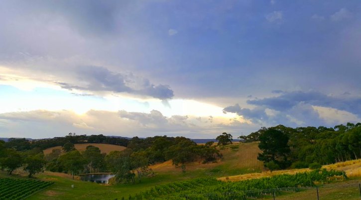 2 days till <a href="/CellarDoorFest/">CellarDoorFest</a>! Get tickets for masterclasses, long table series and more via the website. Pic by <a href="/ParacombeWines/">Paracombe Wines</a> #cdfadelaide