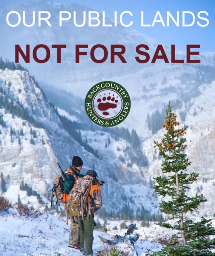 Backcountry_H_A's tweet photo. Looking for some points to help make the case in defense of your American #publiclands? #keepitpublic 

https://t.co/kajiwrVYW4 https://t.co/rUGMNnJJer