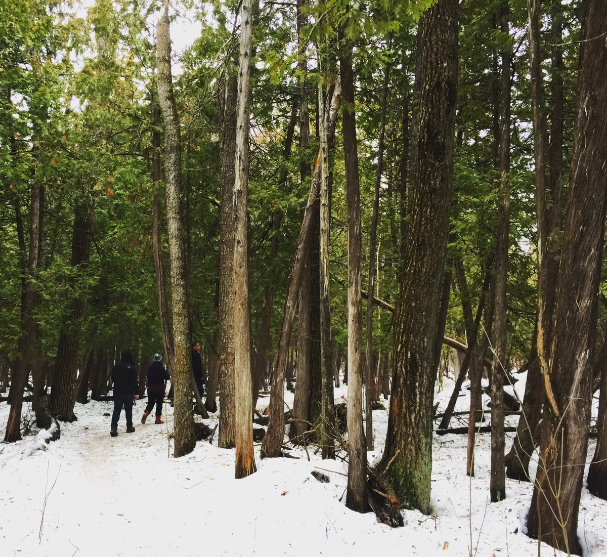Quick #hike to soak up the warmth &amp; rain. Feels like spring is here, yet so far away! @ParksCanadaWPG #exploremb instagram.com/p/BQyh-tsjuBs
