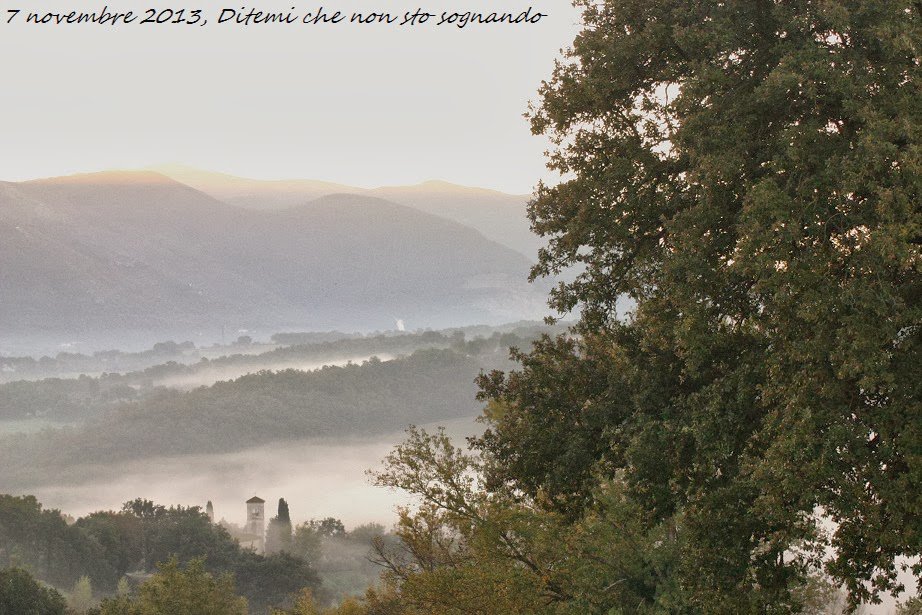 PaolaGigante62's tweet photo. e dopo i nostri eventi alla @Casa ora si riposa .. un'alba di #Montignano di mia sorella Anna 
Buonanotte https://t.co/v7wexquUOj