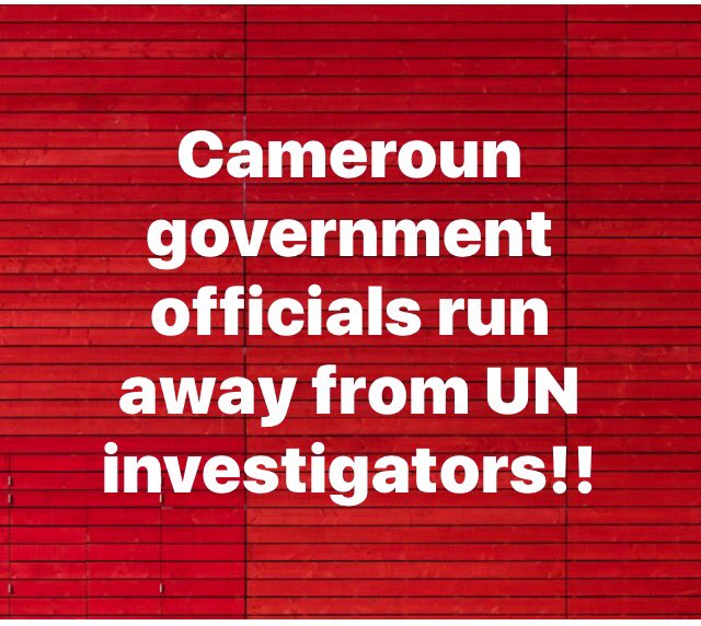 celerey2002's tweet photo. @PutinRF_Eng @realDonaldTrump @UNHumanRights @AJStream please help tell our story.UN officials went to Cameroon &amp; they can confirm our cries https://t.co/hYXIeFsvyr