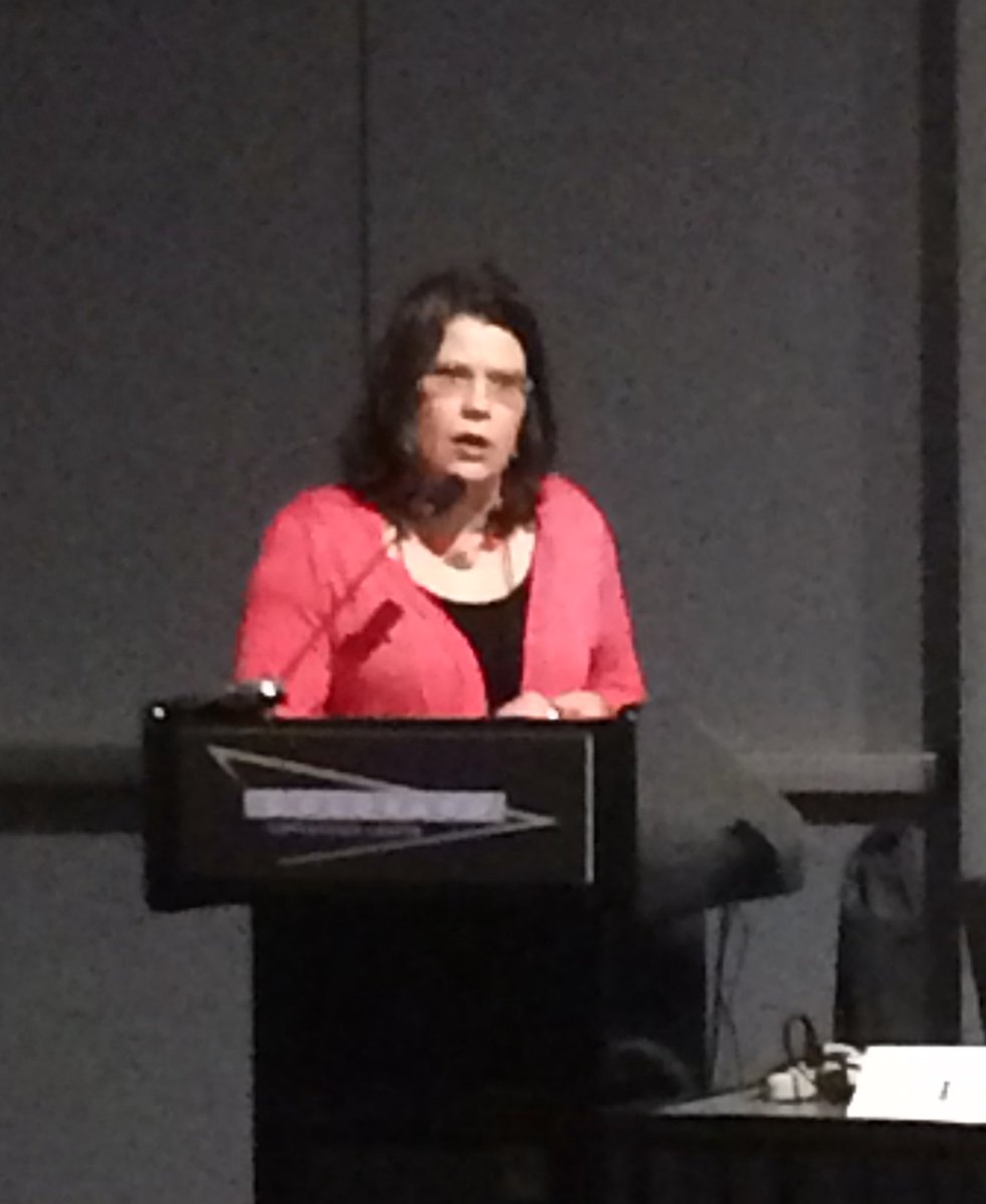 Society for Mining, Metallurgy, &amp; Exploration Conference-Allyz Kramer, (<a href="/SEHinc/">SEH</a>) presenting on GIS Remote Sensing for Wetlands. #SME2017