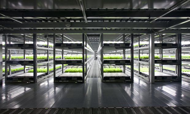 neurobots's tweet photo. Japanese firm to open world’s first robot-run farm https://t.co/vSkRIL0CfS https://t.co/xxQz7sQHgo