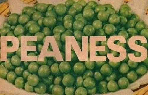 lovesheffield_'s tweet photo. Live :: Indie pop trio Peaness are free gigging @bungsandbears on Thurs &amp; it's one of Bea's Top 3! https://t.co/nfeWUHbNYP #peaness #beaness https://t.co/ng7C8icBKT