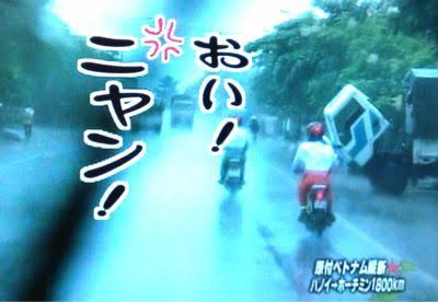 すとう ニャンさんの日でしょ 猫の日 水曜どうでしょう T Co Bn7stqx5qc Twitter