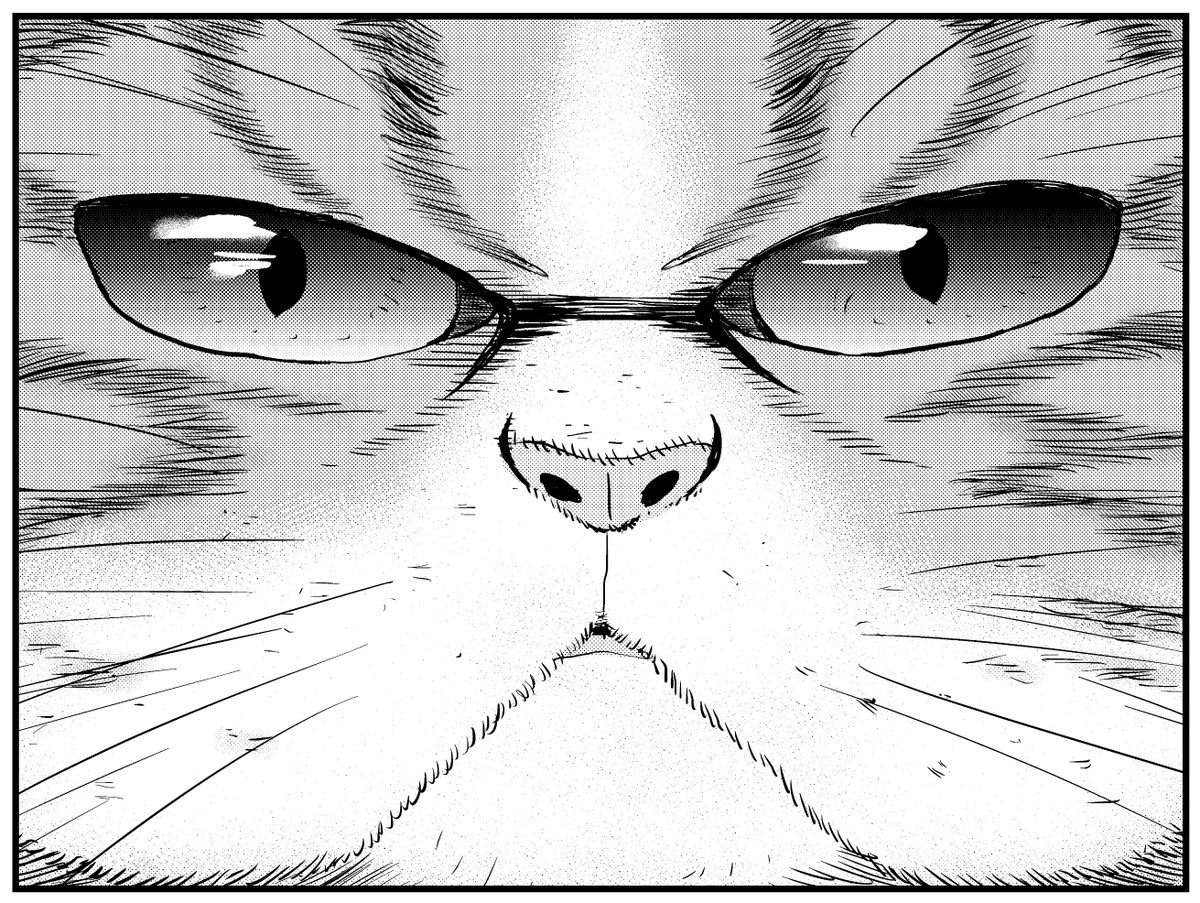 本日発売モーニングツーのニャンニャン特集にて、市丸いろは先生とタッグで描いた「極道の猫たち」が掲載されています! 