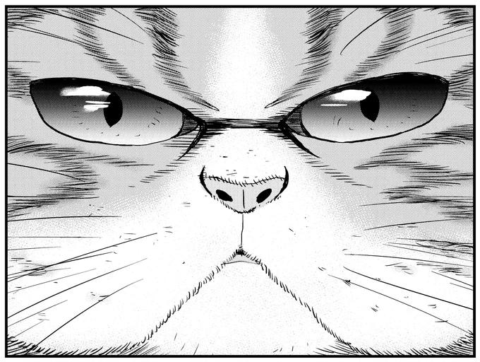 本日発売モーニングツーのニャンニャン特集にて、市丸いろは先生とタッグで描いた「極道の猫たち」が掲載されています! 