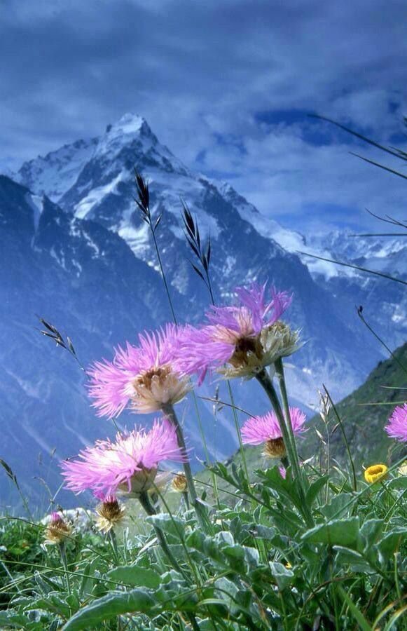 @rosina_strebig <a href="/Pavelulybkin/">Павел Улыбышев</a> @zuk60 @CreativeTanja <a href="/Salvado96043056/">Salvador Jorge</a> @bcavalli3333 <a href="/PtrSerg/">Sergey Petrovich</a> @pilot_svb <a href="/sergey_silkin/">Sergey Silkin</a> @ANB_HX