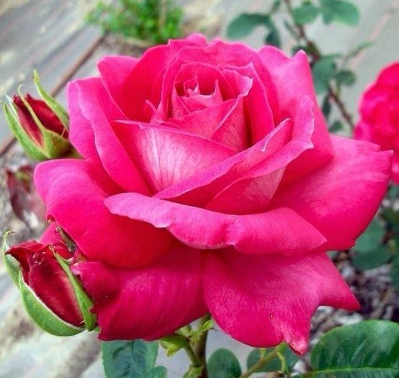 @rosina_strebig @zuk60 <a href="/Pavelulybkin/">Павел Улыбышев</a> @CreativeTanja <a href="/Salvado96043056/">Salvador Jorge</a> @bcavalli3333 <a href="/PtrSerg/">Sergey Petrovich</a> @pilot_svb <a href="/sergey_silkin/">Sergey Silkin</a> @ANB_HX