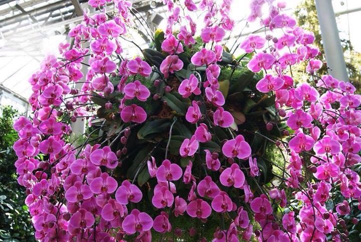 @rosina_strebig <a href="/Salvado96043056/">Salvador Jorge</a> @zuk60 <a href="/Pavelulybkin/">Павел Улыбышев</a> @CreativeTanja @bcavalli3333 <a href="/PtrSerg/">Sergey Petrovich</a> @pilot_svb <a href="/sergey_silkin/">Sergey Silkin</a> @ANB_HX