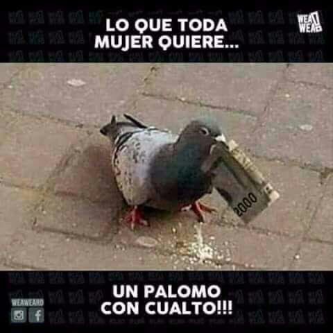 cecenta801's tweet photo. Ando buscando una chapiadora hhhh https://t.co/p5NcUKhPgc