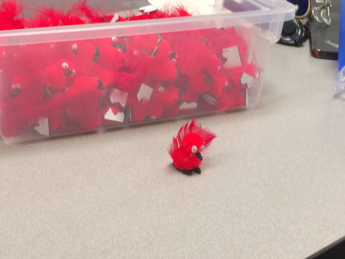 robotics_2412's tweet photo. Mini-Birds! https://t.co/oREComJk4Z