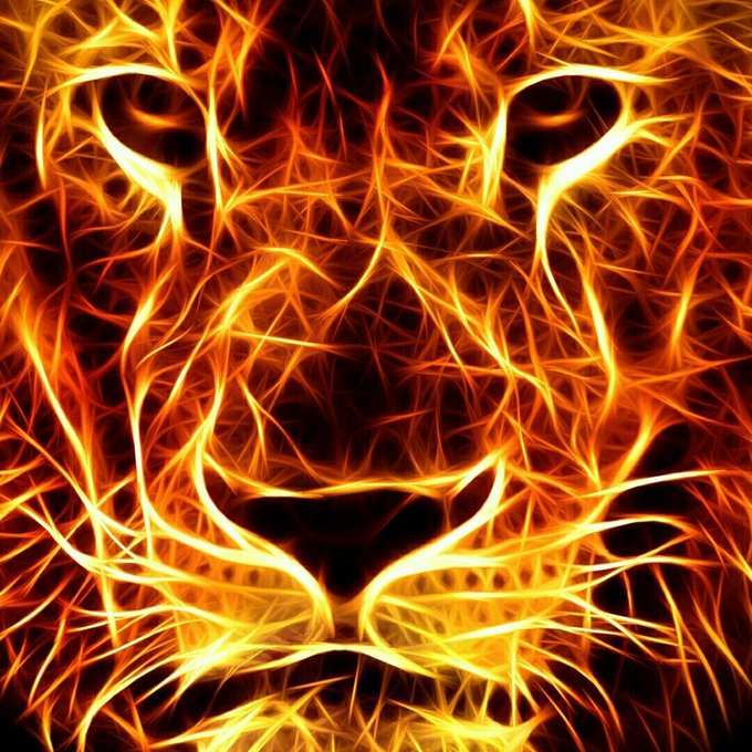 #NewProfilePic https://t.co/LCkdy0Na4z<a href="/tag/newprofilepic"class="tags">#NewProfilePic</a>