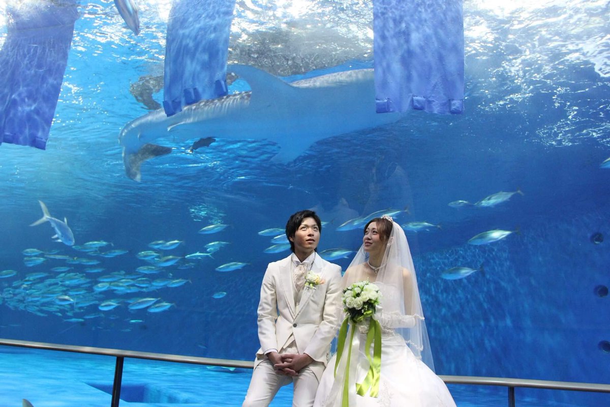 鹿児島 水族館