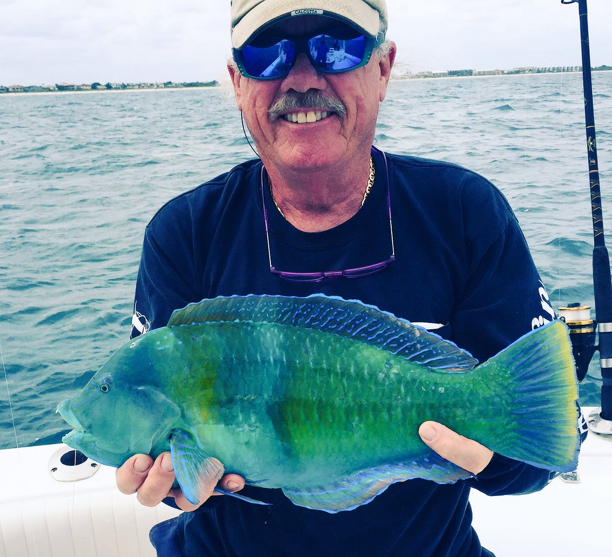 finssportfishin's tweet photo. Pudding wife wrass .#verobeach,#wrass,#finssportfishing https://t.co/TKIrx9Mza7