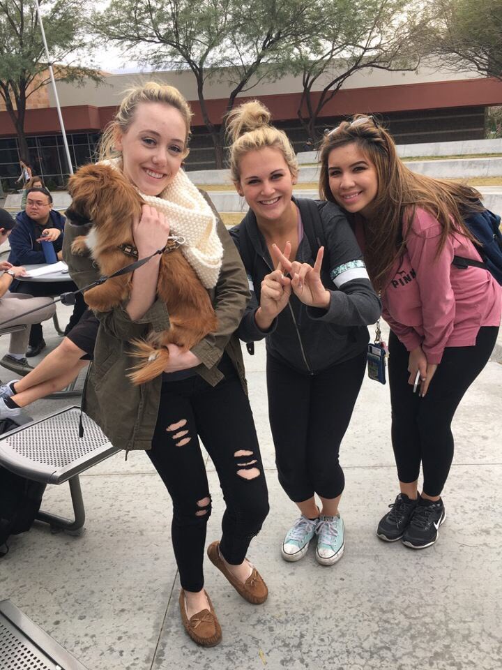 UNLVAXID's tweet image. Puppies and @TKE_UNLV?! And all for St. Jude's Children's Research 🐶❤️✨ Thanks guys!! #TouchofLove #TeamLexi #ApollosAngels #StJude