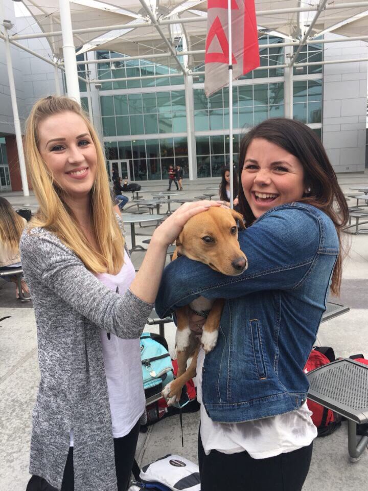 UNLVAXID's tweet image. Puppies and @TKE_UNLV?! And all for St. Jude's Children's Research 🐶❤️✨ Thanks guys!! #TouchofLove #TeamLexi #ApollosAngels #StJude