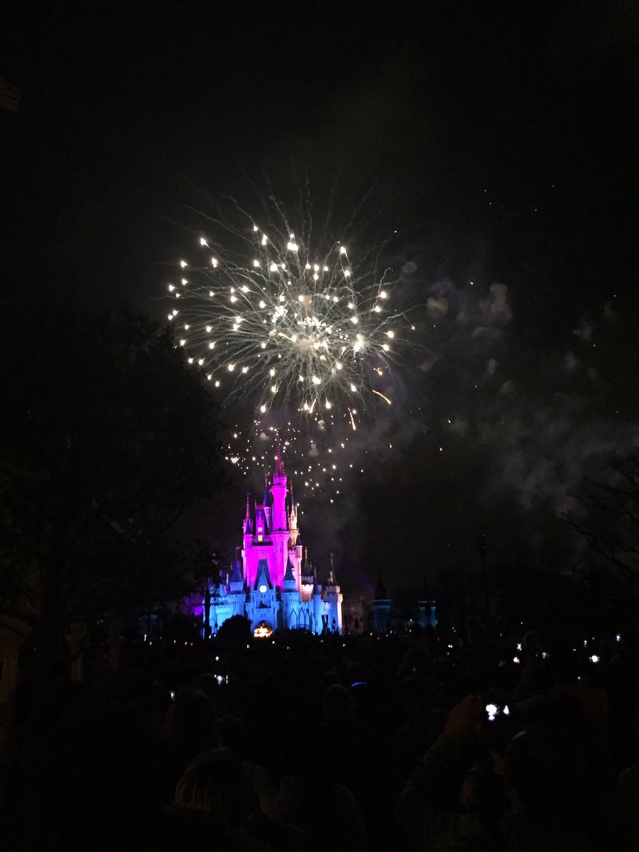 BrooksVigen's tweet photo. What an unforgettable family vacation at Disney World! #magical https://t.co/cL3zsKJgf3