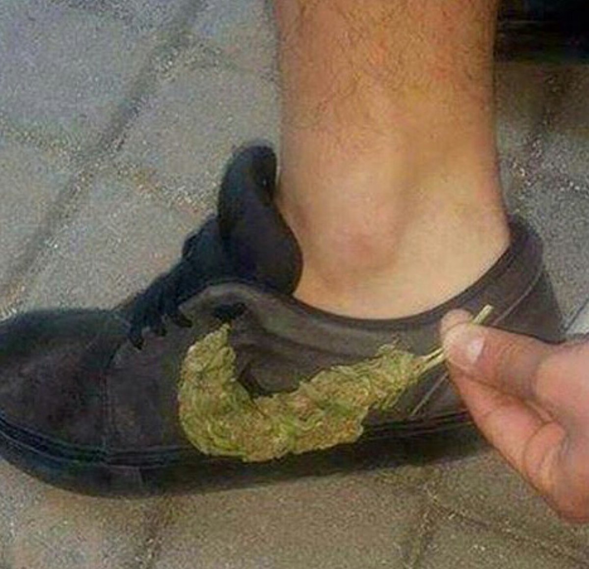 420's tweet image. just microdose it