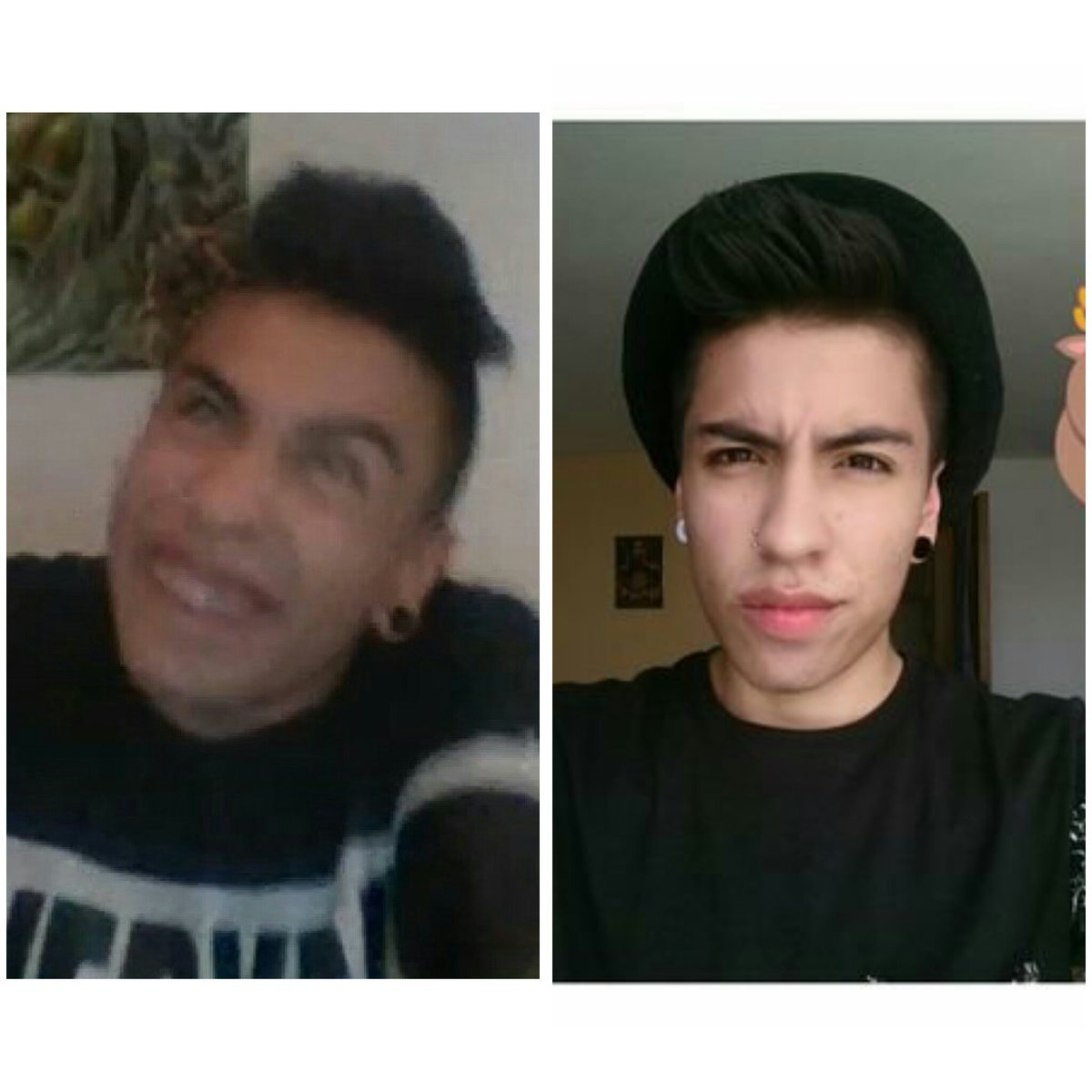 _ELBRAYAN_'s tweet photo. Perros antes y después de ser adoptados 😍. https://t.co/KZwIcB8ZZE