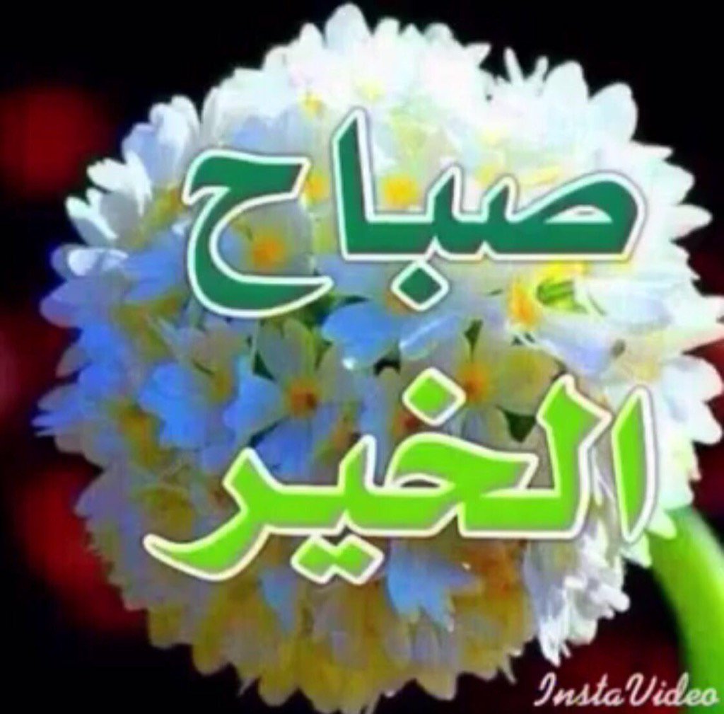 awadelsayed116's tweet photo. https://t.co/eeKVpfQHDc
