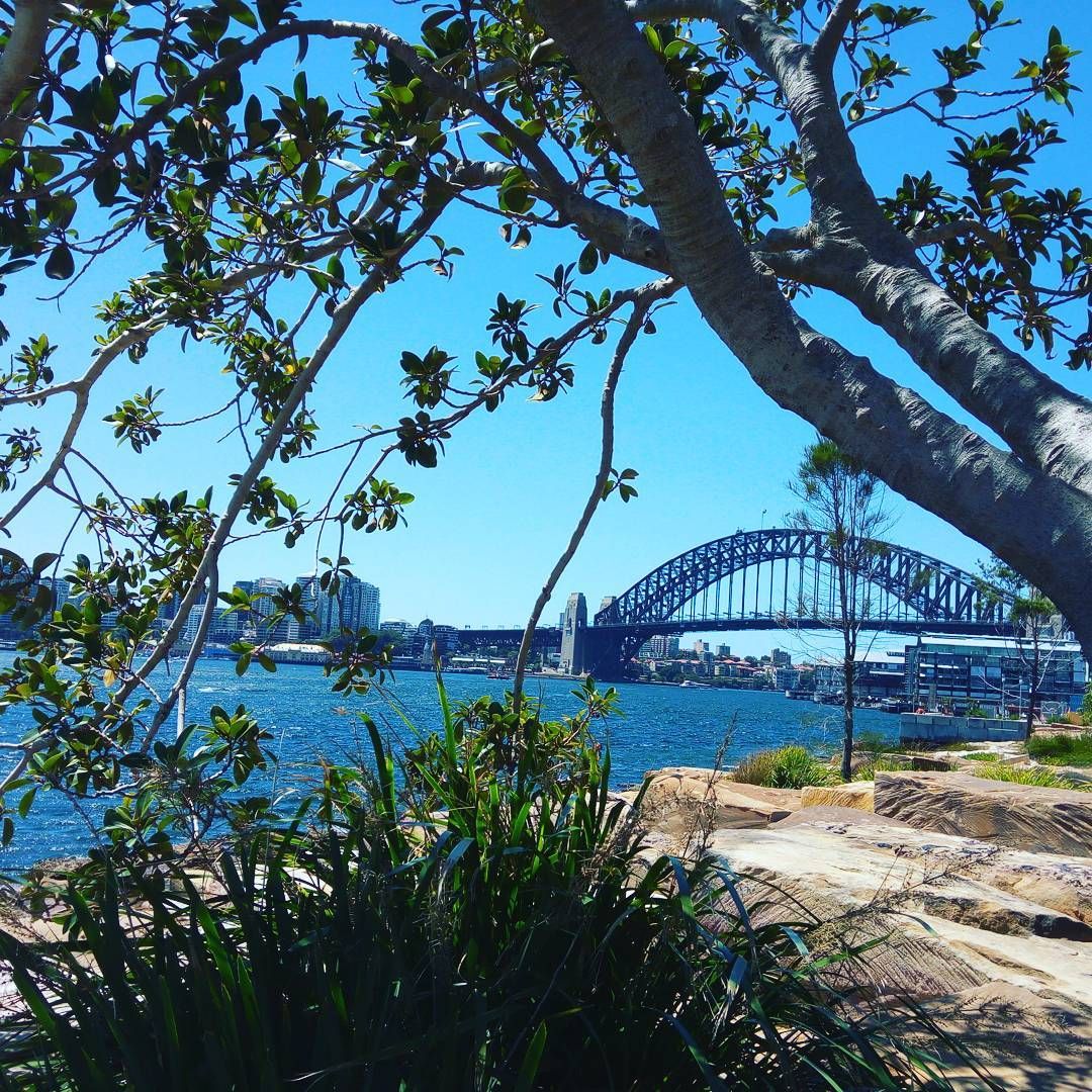 assaphmehr's tweet image. Lunchtime. Sitting under a tree,next to the #Sydney harbor. Practicing #WingChun&apos;s #SilLimTao, plotting my #book...

buff.ly/2llHwvO