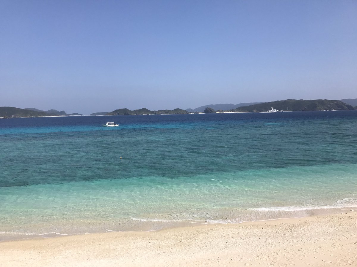 民宿 スーパー辰登城 Tatsunojo1 Twitter 民宿 スーパー辰登城 Tatsunojo1 Twitter