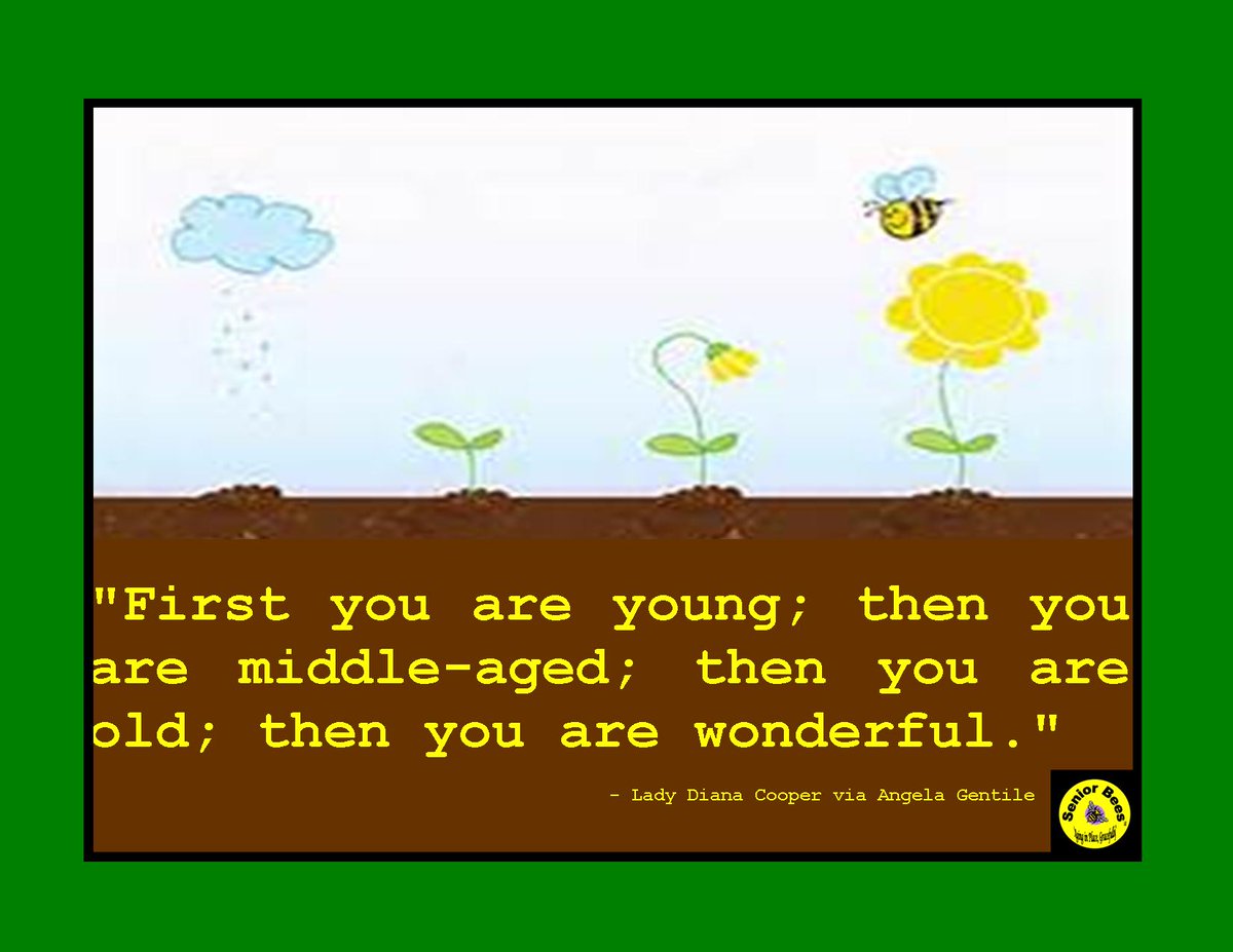 SeniorBees's tweet photo. What do you think ... Is this a form of #Ageism? https://t.co/Fp53618004 https://t.co/FiPvQISxU2