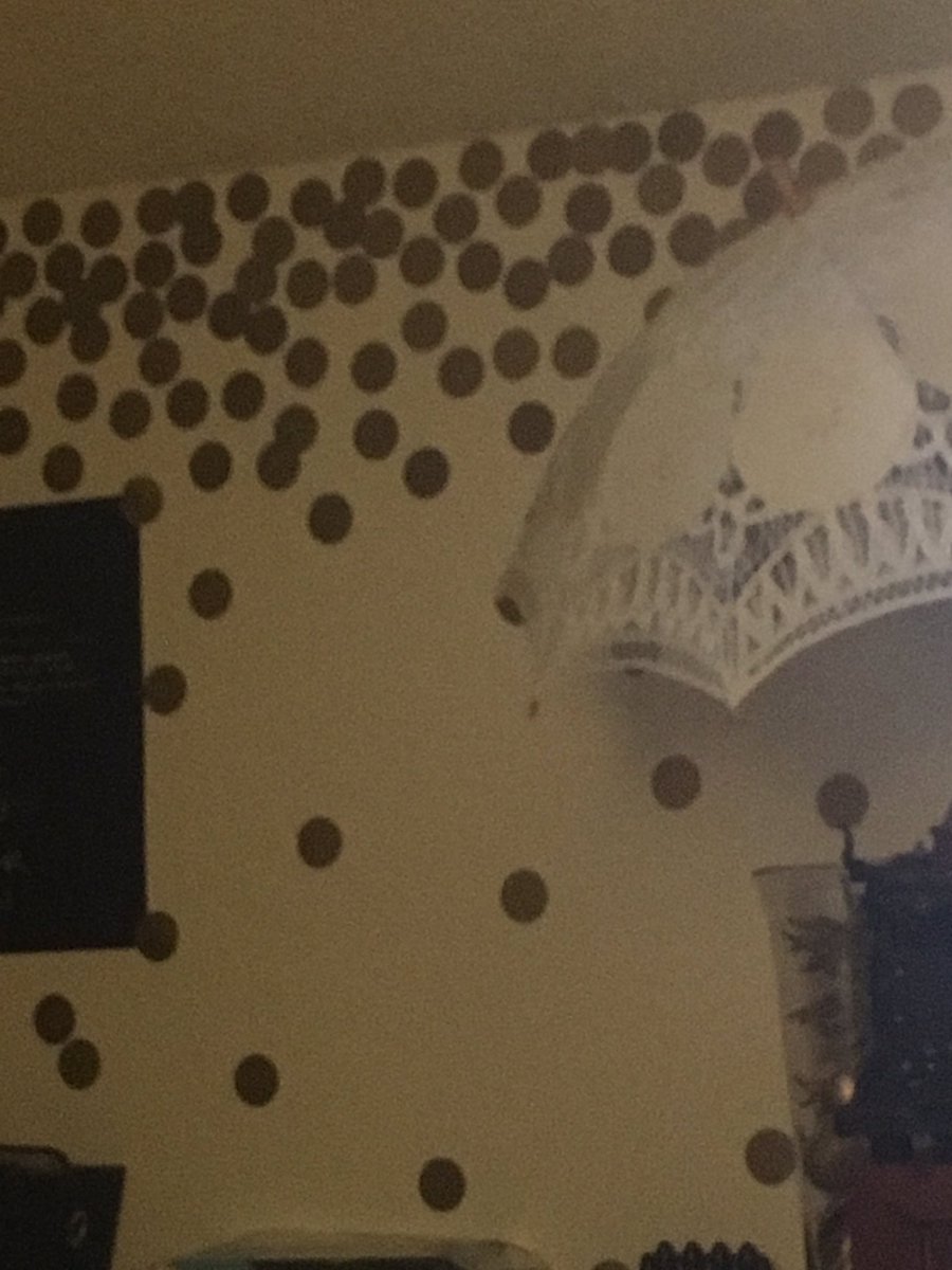 abbie_b_elliott's tweet photo. Home decor #expressdots @WaPoExpress https://t.co/AZyJ1RudRC