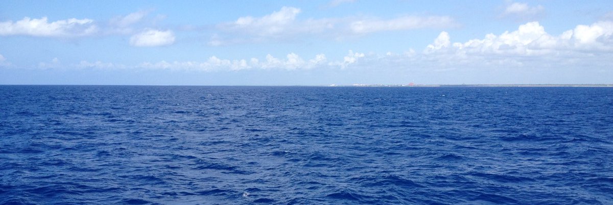 igorgop's tweet image. #NuevaFotoDePerfil