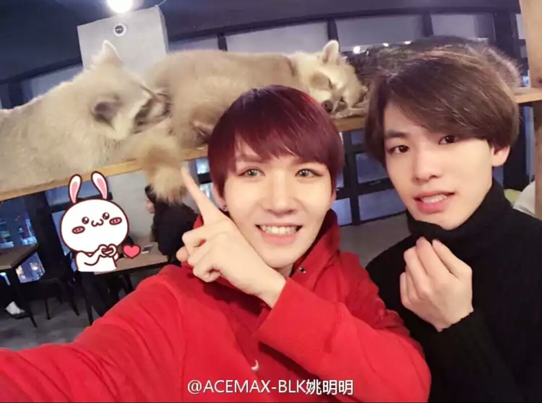 FORMINGMING's tweet photo. [MINGMING WEIBO] 170210 #MINGMING #YAOMINGMING #ACEMAX_BLK #밍밍 #요명명 https://t.co/fHuR9xrpeU