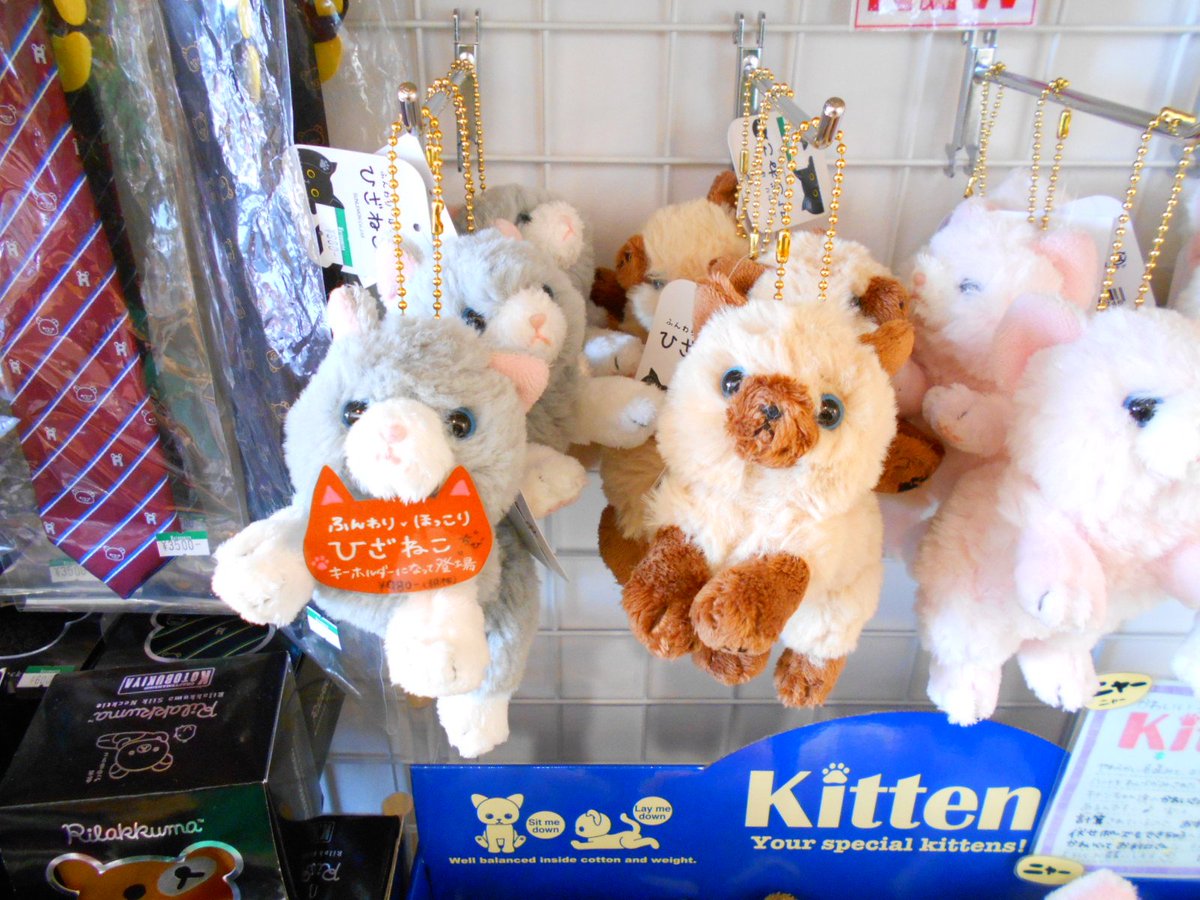 コトブキヤ立川本店 立川本店1f 2 22は猫の日 膝に乗るまるで本物のような猫のぬいぐるみ ひざねこ シリーズからなんとちびが登場 膝小僧サイズでキーホルダーになりました 全5種 各 980 税 ひざねこ サンレモン