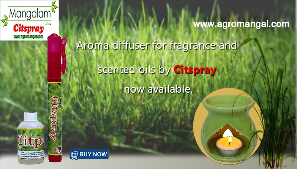 Citsprayaroma's tweet photo. Why should we use a #Aroma #diffuser #Citspray #Citdrop Product to maintain aroma in office,Free homedelivery https://t.co/IXN3o7zl4K https://t.co/iShGvzOm5y