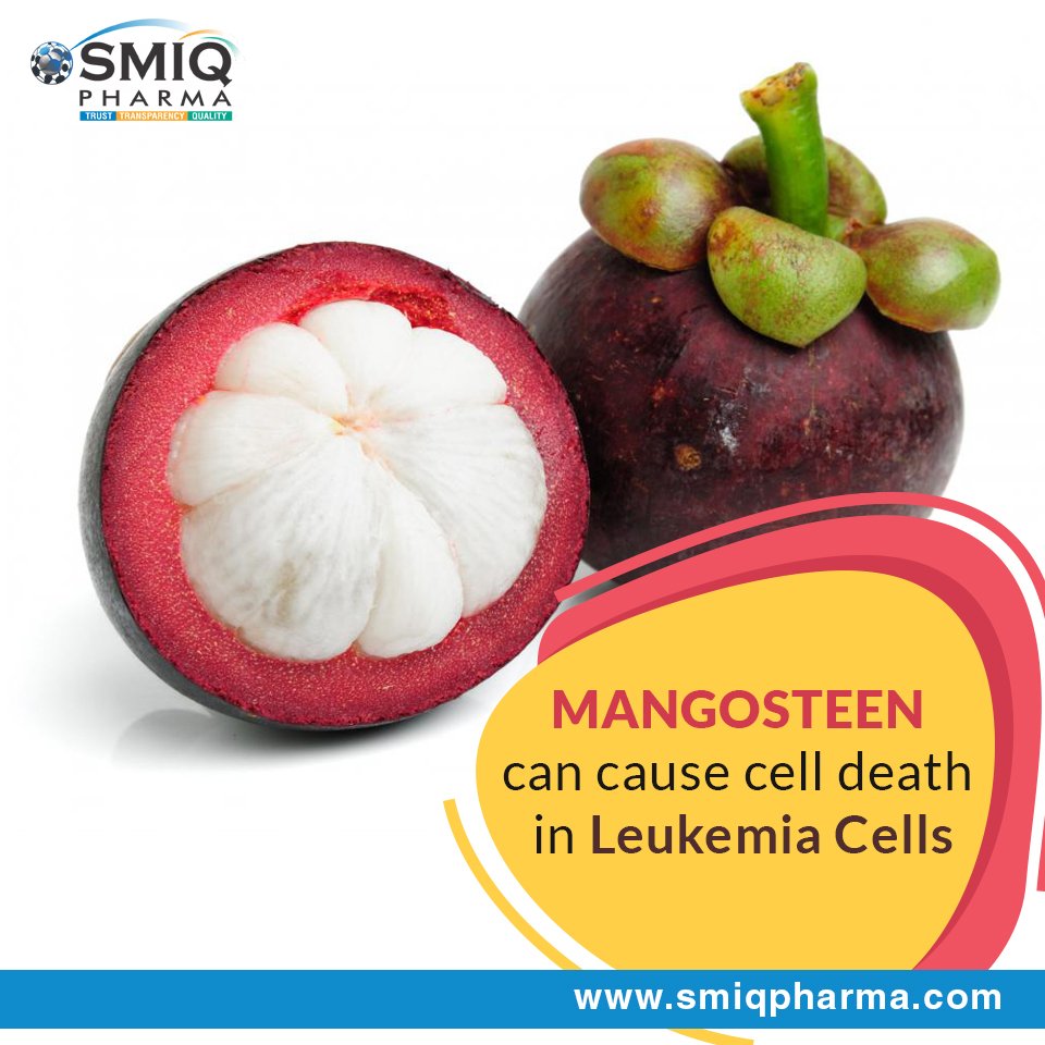 smiqpharma's tweet photo. #Smiqpharma #Cancer #Mangosteen #Cell_Death #Leukemia_Cells 

Visit: https://t.co/IlA6Gzi9sZ https://t.co/ghXGm3HYQH