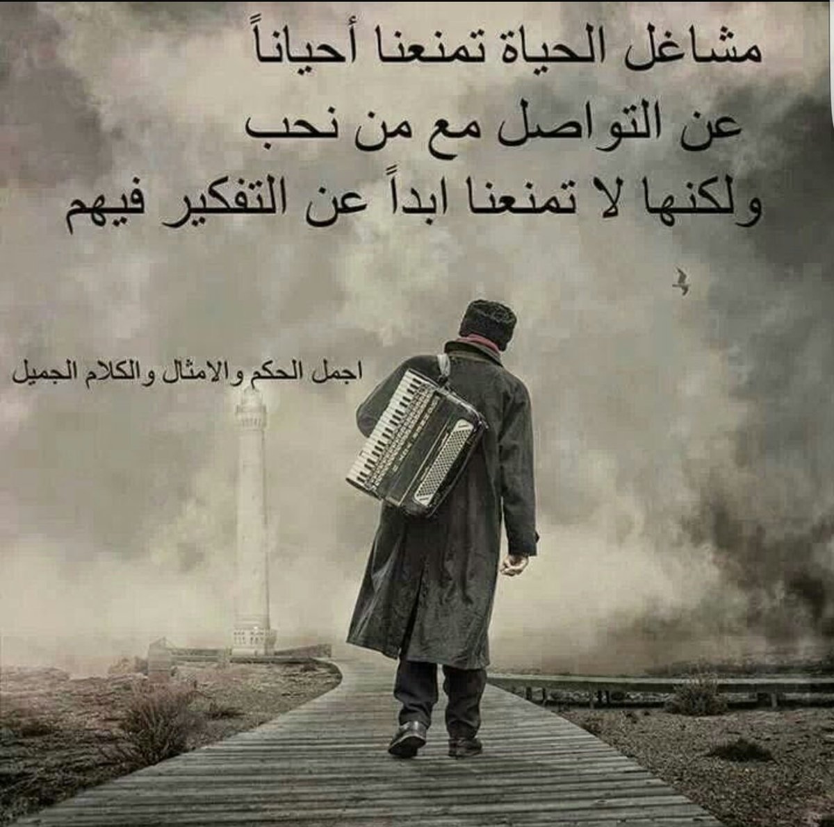 صباحكم ورد 🌹