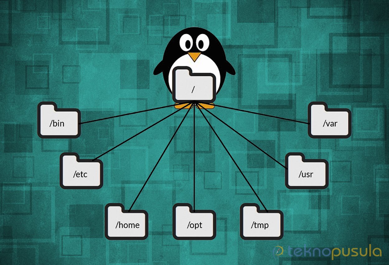 Linux операционная система файл. Операционные системы Linux. Linux Операционная система. Дерево Linux. Файловая система Linux.