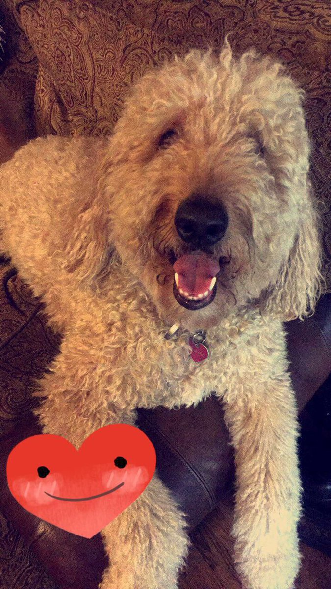 macemoore's tweet image. 📷📷📷