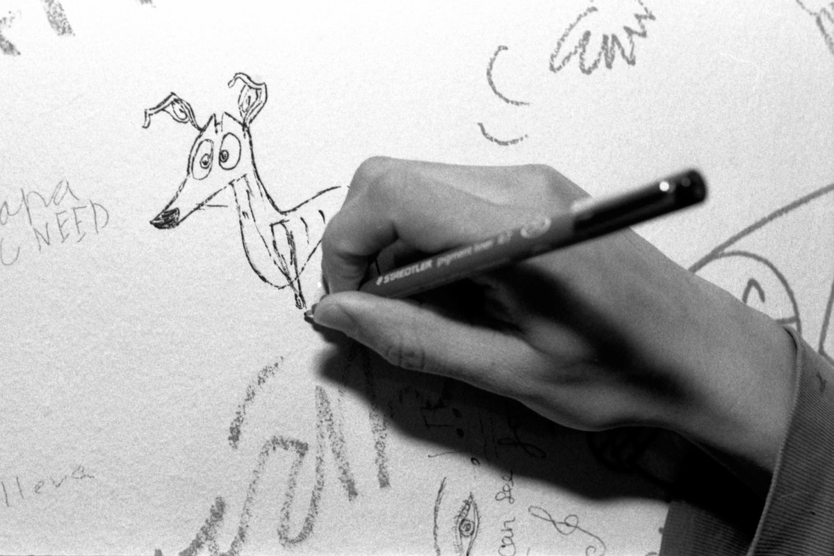 Acaba la temporada de caza. A los galgos les espera la muerte. ¿Lo impedimos? Únete y comparte la #LuchadeHocicos ow.ly/MhJL309eYaa