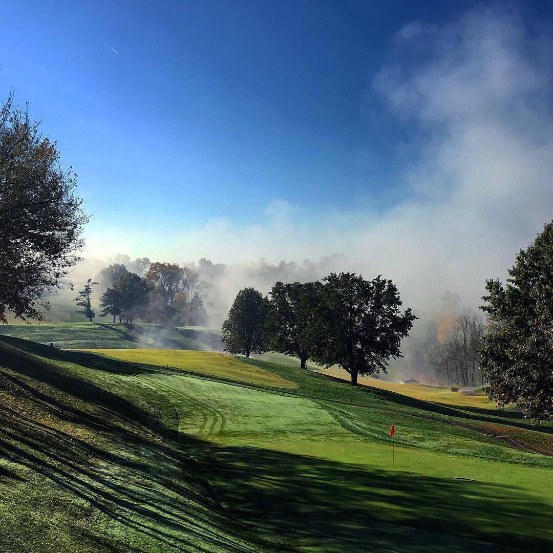 Direct Golf tweet media