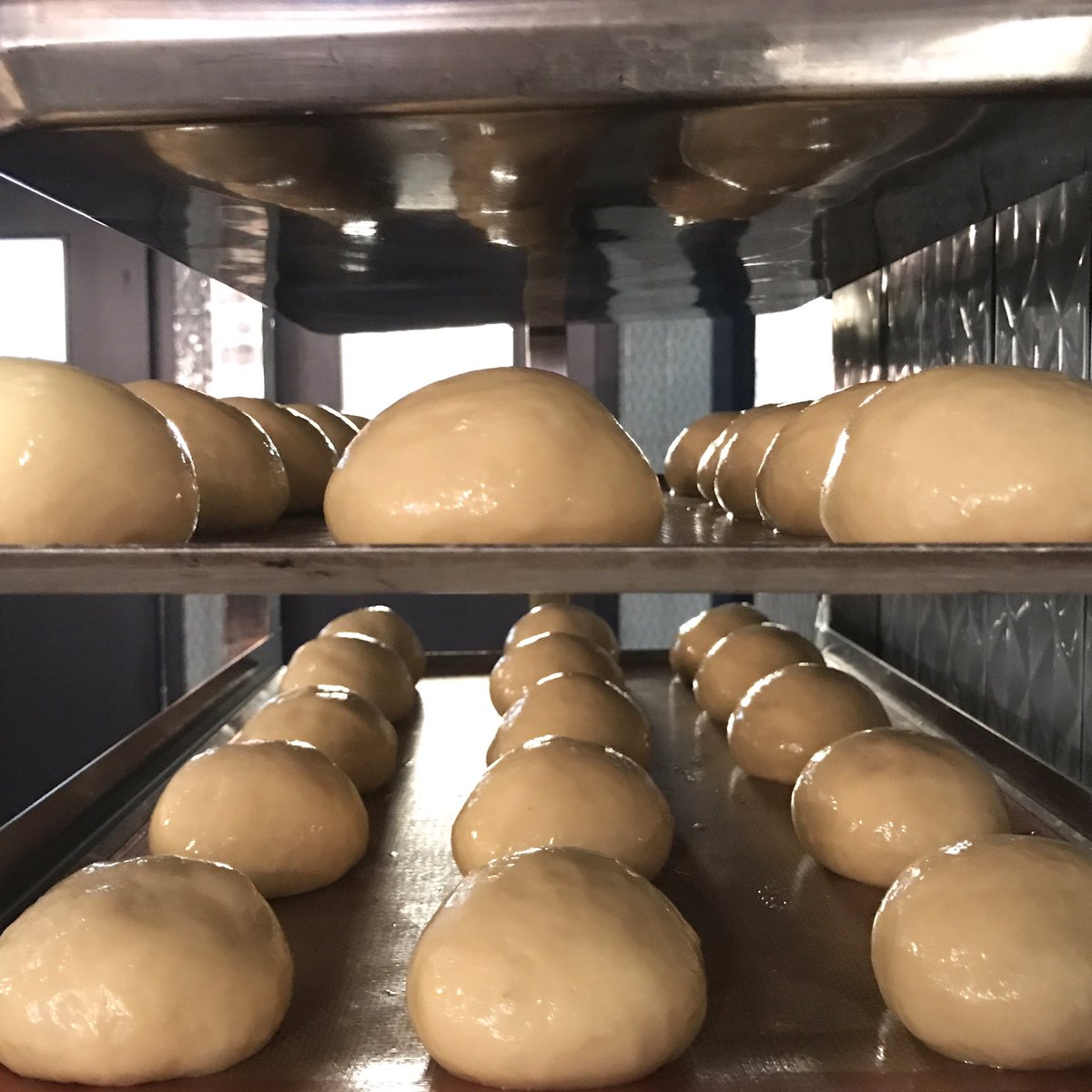 fatpighk's tweet photo. The homemade brioche buns for our burgers are ready to be popped into the oven! https://t.co/5mFSNE70rM