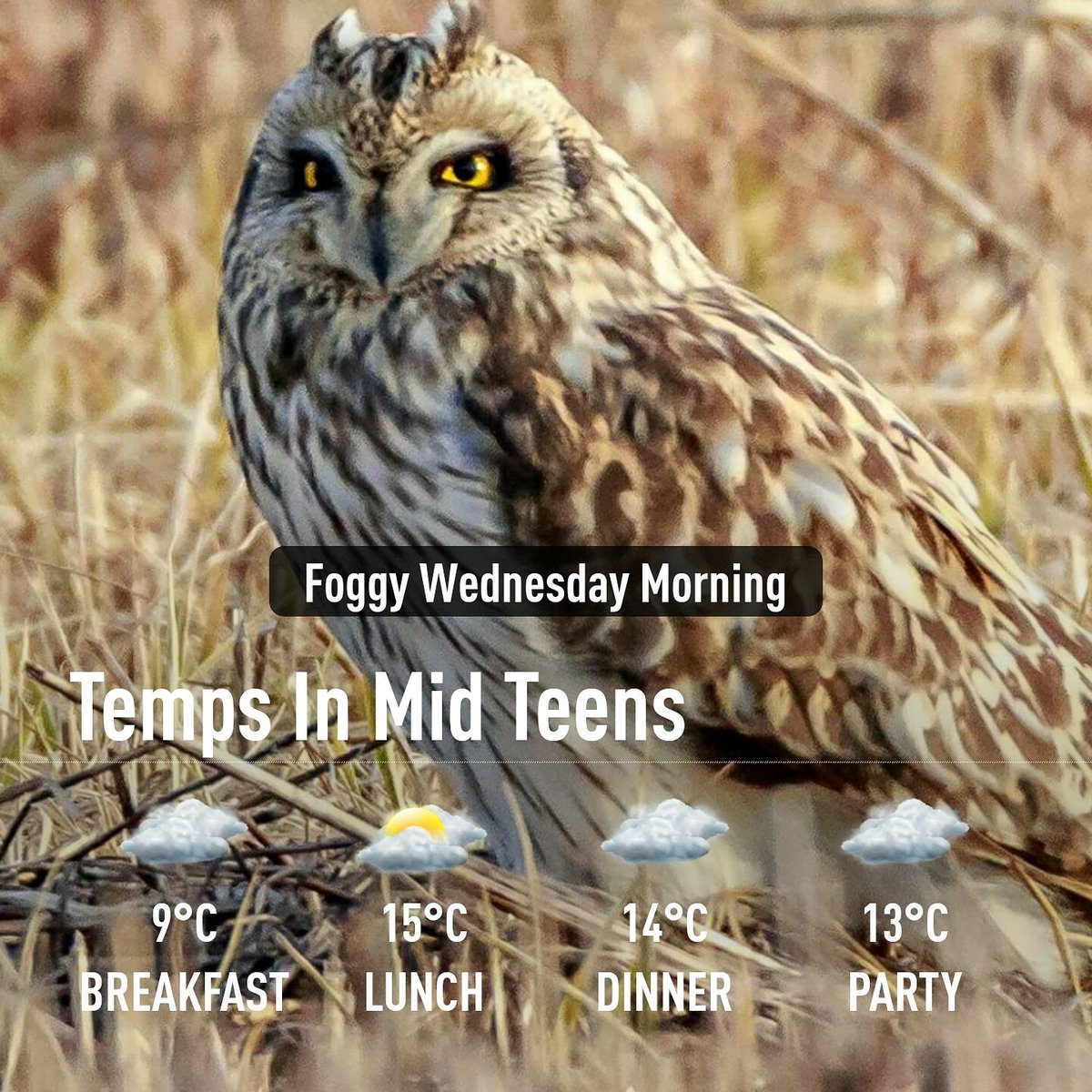ArmsBumanlag's tweet photo. Please Drive Safe! #flingwithspring @AM800News @CTVWindsor @CityWindsorON @TownofLaSalle @EssexON @Aburg_TownHall #yqgweather https://t.co/nWVrtb67P2