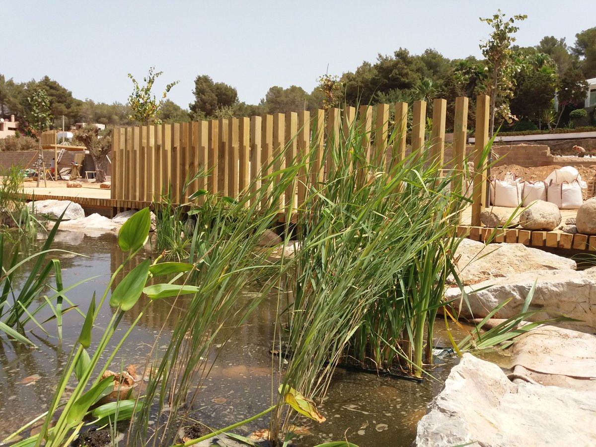 Marcus Rowlands tweet media