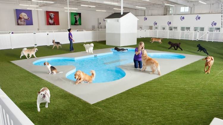TimeOutNewYork's tweet photo. ICYMI: A new terminal just for animals has opened at JFK: https://t.co/HA6XyTcBuF https://t.co/seeN2erQZN
